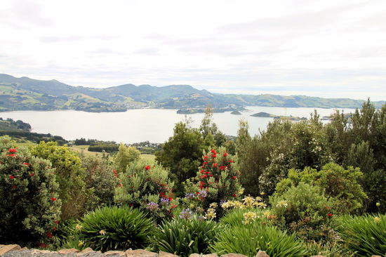 Ein weiterer schöner Ausblick auf den Otago Harbour.