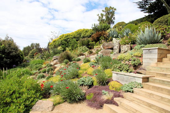 Man kam sich vor wie in einem botanischen Garten.