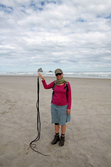 Am Strand lagen lustig aussehende angeschwemmte Pflanzenteile (Algen?) aus dem Meer.