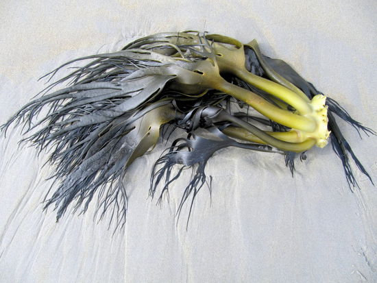 Wirkte fast schon wie Kunst.