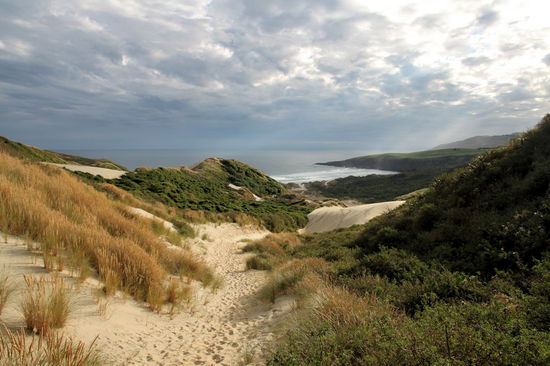 Vom Strand aus sind wir über wunderschöne Dünen in Richtung Sandymount gewandert. Eigentlich wollten wir den loop laufen und zu The Chasm bzw. Lovers Leap. Da es schon spät wurde und wir ziemlich platt waren durch den weichen Sand, drehten wir oben auf der Spitze der Düne um.