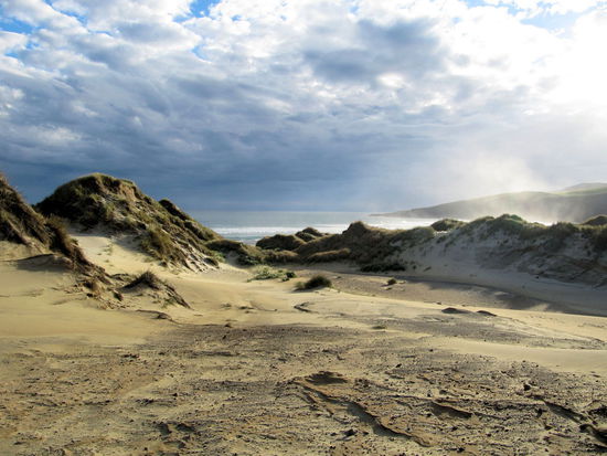 Tolle Dünen in Strandnähe.