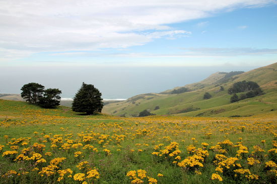 Ausblick von der Highcliff Road.