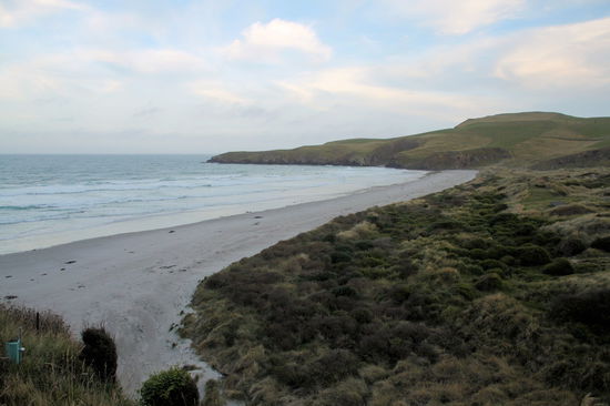 Die renaturierte Bucht des Conservation Reserve. Hier können die Pinguine geschützt leben und brüten. Für die Touristen wurden umfangreiche Gänge und Verstecke angelegt, damit sie die Pinguine beim Beobachten nicht stören.