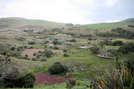 Das Gelände mit den verschiedenen Verstecken zum beobachten.