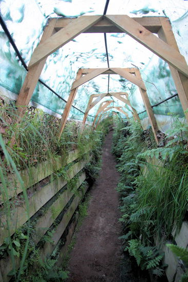 Einer der Verbindungsgänge zwischen den verschiedenen Verstecken.