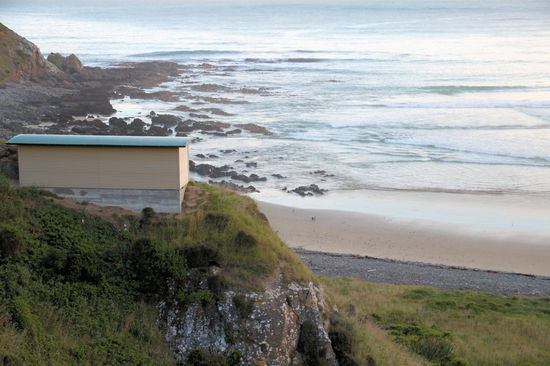 Kurz vor dem Leuchtturm liegt an der Roaring Bay ein Pinguin-Beobachtungsstand. Hier kann man in der Abenddämmerung Gelbaugenpinguine sehen. Wir waren zweimal hier (alleine und mit Mary) und konnten beide Male Pinguine sehen.