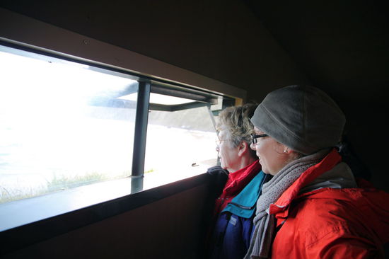 Mutter und Tochter sind fasziniert von den Pinguinen.