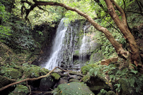 Die Matai Falls.
