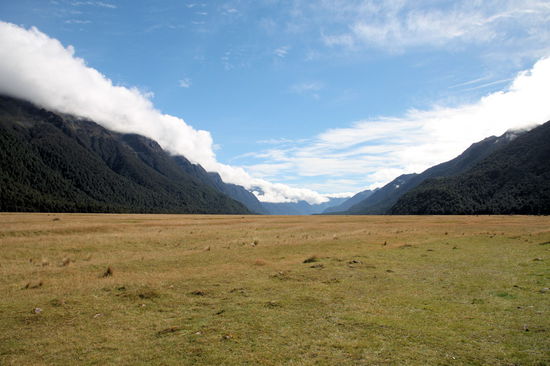 Das Eglinton Valley. Die 120 km lange Straße zum Milford Sound gilt als eine der schönsten der Welt - und wir können es nur bestätigen!