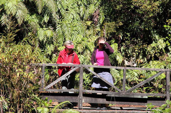 Die Damen beim bewundern von The Chasm.