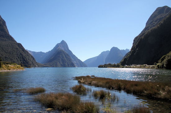 Der Milford Sound. In der Mitte der fast 1.700m hohe Mitre Peak. Wir waren zweimal am Milford Sound (gehört zu den regenreichsten Regionen der Welt) und hatten beide Male Spitzenwetter.