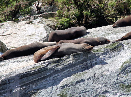Schön die Sonne genießen und sich nicht von den Touristenbooten stören lassen.