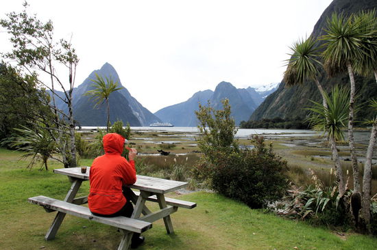 Nach der Bootstour machten wir eine Kaffeepause mit tollem Blick auf den Milford Sound. Im Hintergrund sieht man ein Kreuzfahrtschiff im Sound. Obwohl das Schiff riesig ist, wirkt es zierlich im Vergleich zu den gewaltigen umgebenden Bergen.