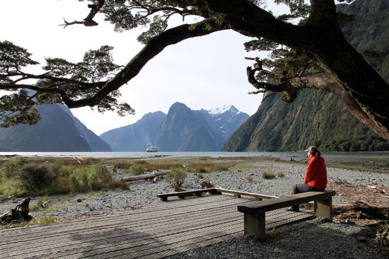 Anschließend sind wir den loop walk "Milford Foreshore Boardwalk" gelaufen und haben dabei schöne Aussichten auf den Sound genossen. Das Kreuzfahrtschiff drehte langsam wieder um.