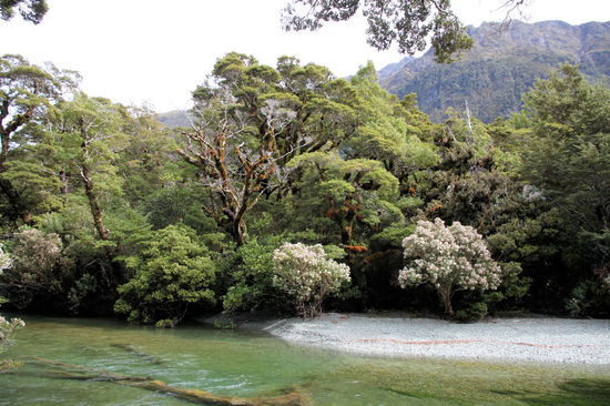 Der Abfluss des Lake Gunn mit glasklarem Wasser.