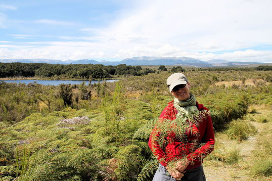Am Lake Mistletoe wurden gerade die Wege freigeschnitten. Nicht, dass jemand denkt Lizzy hätte einen Farn irgendwo rausgerissen. 