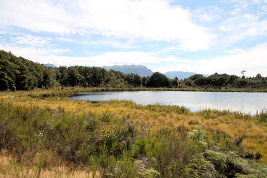 Am Lake Mistletoe machten wir den Walk und mussten leider feststellen, dass der Weg an der Straße zurückführt. 