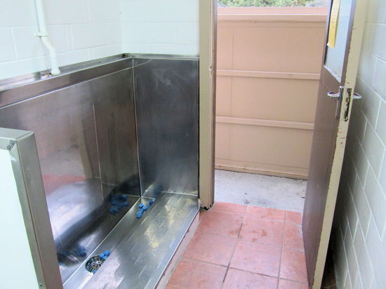 Hier ein Bild der in Australien und Neuseeland extrem beliebten 'Pinkelrinne' in Form einer Edelstahlbox. Wahrscheinlich wurden diese Edelstahlkästen in Australien bzw. Neuseeland entwickelt und dann war man so stolz auf diese Entwicklung, dass man sie überall baute auch wenn sie Wasser verschwenden und unhygienisch und unpraktisch sind.
Auf dem überteuerten Campingplatz 'Glentanner Park Centre' waren die Sanitäranlagen klein und nur mit einem Minimum ausgestattet. Zu allem Überfluss war dieses Box-Modell sehr ungünstig an der Tür platziert.
