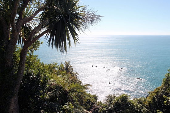 Obwohl man sich in einer der regenreichsten Regionen der Erde aufhielt und vergleichsweise nah an der Antarktis war, kam man sich manchmal vor wie auf einer tropischen Insel.