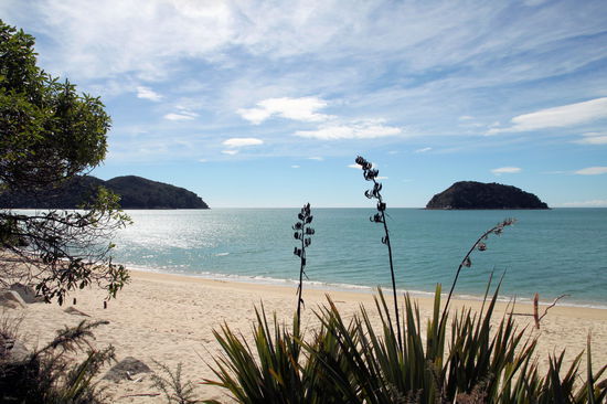 Das Wassertaxi setzte uns am Strand von Onetahuti ab. Es war so schön, wir hätten direkt eine Pause machen können. 
Aber wir mussten in Richtung Süden wandern, da wir zu einer festen Zeit vom Wassertaxi an einem anderen Strand abgeholt wurden.