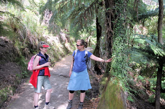 Mutter und Tochter philosophieren über die Schönheit irgendwelcher Grünpflanzen.