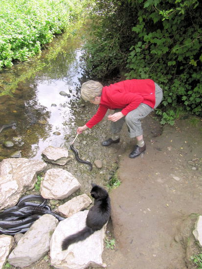 Mary mit vollem Körpereinsatz. Die Katze ließ sich von dem Bündel Aale neben ihr nicht im geringsten beeindrucken.