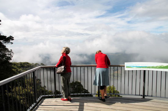 Ein schöner lookout auf dem Weg zum Cape. Leider war es etwas wolkig.