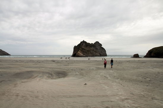 Nach dieser schönen Strecke erreicht man den Wharariki Beach.