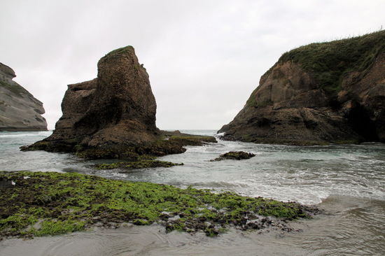 Um die Felsen herum sah man viele Robben.