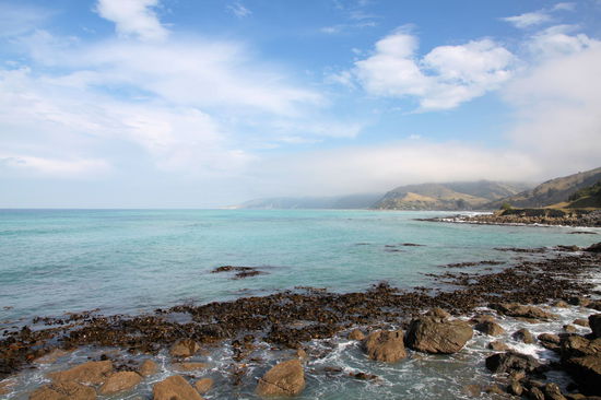 Irgendwo an der Nordostküste auf unserem Weg nach Picton.