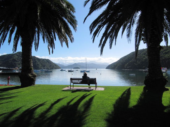 Der Hafen von Picton. Hier nahmen wir die Fähre zur Nordinsel Neuseelands.