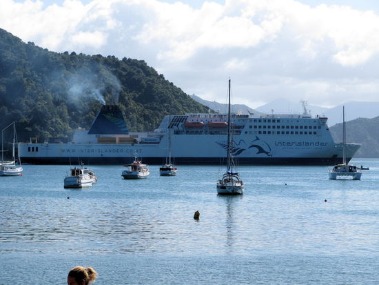 Unsere Fähre beim rückwärts einparken im Hafen von Picton.