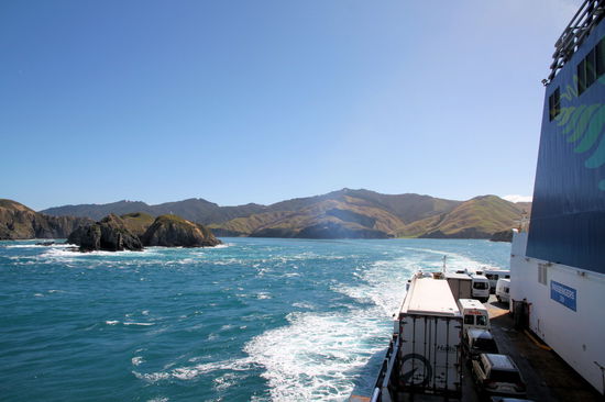 Während wir in die Cook Strait einfuhren ein Blick zurück auf den Tory Channel. Die Cook Strait oder auch Cookstraße trennt die beiden Hauptinseln Neuseelands und ist an der engsten Stelle nur 22 Kilometer breit. Die Cookstraße gehört zu den stürmischsten Meeresstraßen der Welt und die Überfahrt kann bei schlechtem Wetter sehr rau werden.