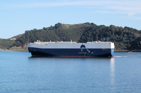 Bei der Einfahrt in den Wellington Harbour sahen wir dieses Schiff. Es erinnert weniger an ein Schiff, als an einen aerodynamisch gestylten Schuhkarton. Wir sind uns recht sicher, dass es sich um ein Frachtschiff für Autos handelt.