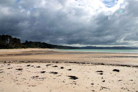Auf der Coromandel-Halbinsel reiht sich ein schöner Strand an den nächsten. Bei den vielen Wolken ließ es sich nicht vermeiden, ab und zu mal einen Regenschauer abzubekommen.