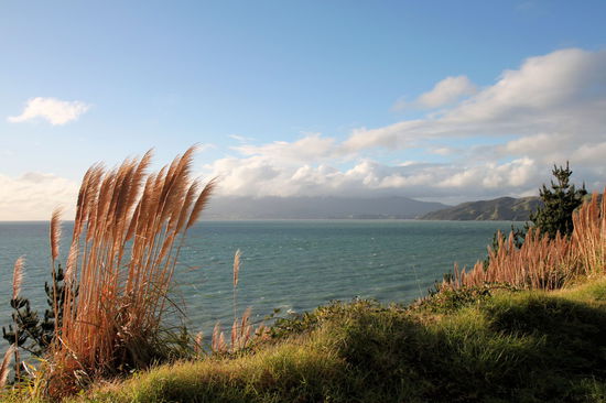 Noch mehr schöne Küste.