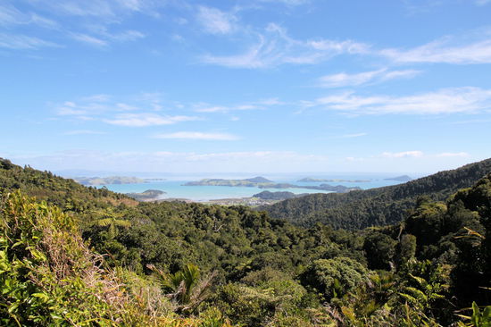 Blick von einem lookout in Richtung Coromandel Town.