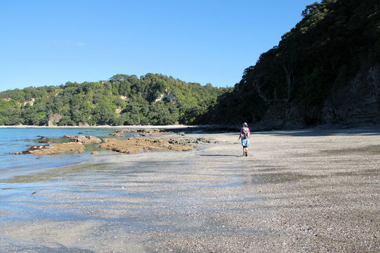 Auf dem Weg durch die Otarawairere Bucht. Am Ende der Bucht muss man noch einmal über einen kleinen Berg und erreicht dann das westliche Ende des Ohope Beach.