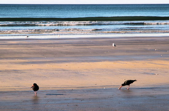 Entspannte Stimmung am Ohope Beach.