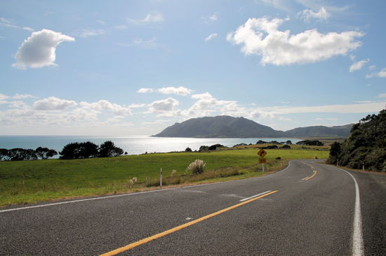 Weiter ging es entlang der wunderschönen Küste bis Whangaparaoa. Ab da verlässt man die Küste und die Straße führt durchs Hinterland.