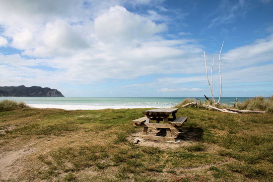 Mittagspause am Strand von Tokomaru Bay.
Anschließend fuhren wir nach Anaura Bay und machten dort den DOC Walk durch das Anaura Bay Scenic Reserve.