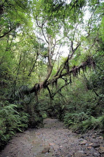Teilweise führte der 'Weg' auch durch das Flussbett.