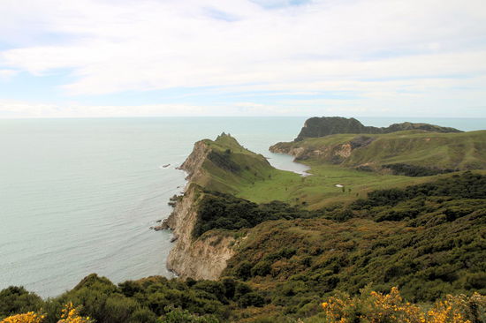 Nach einer Nacht im schönen Tolaga Bay Holiday Park starteten wir direkt vom Campingplatz aus unsere Wanderung zur Cooks Cove (5,4 km in 2,5h). Im Bild der Blick von der Aussichtsplattform am höchsten Punkt der Wanderung auf die Cooks Cove.