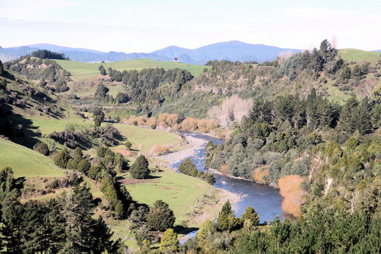 Von Taumarunui aus führt die Straße am Fluss Whanganui entlang nach Westen. Der Whanganui windet sich sehr schön durch die Landschaft. Diesen Teil des Flusses sind wir eine Woche später mit dem Kanu entlanggepaddelt. 
20 Kilometer westlich von Taumarunui übernachteten wir auf dem schön gelegenen DOC Campingplatz 'Ohinepane Recreation Reserve' direkt am Fluss. Der Campingplatz war kostenfrei und hatte zwei Standard-Plumsklos (normal sauber (ohne Toilettenpapier); keine Waschbecken (keine Seife)). Am shelter gab es ein Waschbecken zum Abspülen.