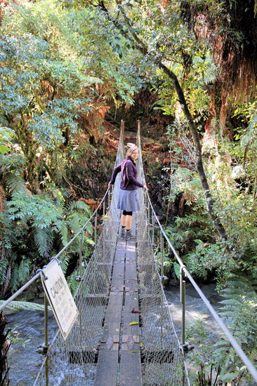 Lizzy auf einer Hängebrücke des Te Maire Loop Track (Whanganui NP) bei Te Maire. Nach der Übernachtung auf dem DOC Campingplatz sind wir den Highway etwas zurückgefahren um diesen Wanderweg zu laufen (ca. 2h).