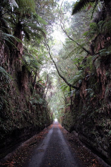 Am nächsten Tag haben wir uns die Schlucht noch einmal bei Tageslicht angeschaut. Sie wurde vor langer Zeit zu Versorgungszwecken in den Fels gehauen und ist inzwischen stark überwachsen. Die Glühwürmchen fühlen sich hier jedenfalls sehr wohl. Ein tolles Erlebnis dort im Dunkeln durchzugehen.