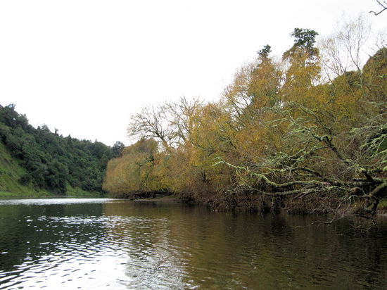 Der Whanganui und die Landschaft drumherum sind schön und es war von Vorteil, dass wir bereits Erfahrung mit einem Kanu hatten.