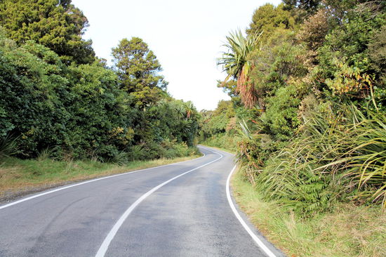Am nächsten Tag fuhren wir in den Egmont Nationalpark. Im Park schlängelt sich die Straße für einige Kilometer durch diesen schönen dichten Wald.