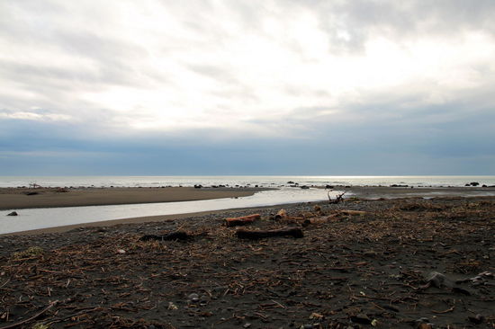 Von New Plymouth aus fuhren wir nach Südwesten entlang der Küste. Immer wieder hielten wir an Rastplätzen mit ursprünglichen Stränden.